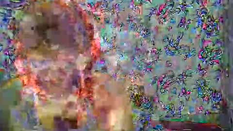 zarinamarlin online show from April 1, 2026, 7:53 am