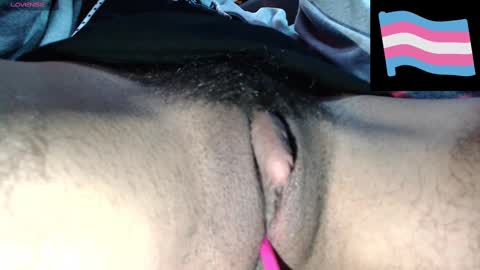 Snapshot of zeldrissss chatting on December 3, 2024, 4:17 pm Zeldris online show from December 3, 2024, 4:17 pm