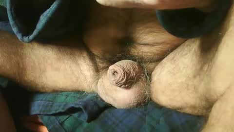 zevioo77 online show from December 22, 2024, 8:16 am