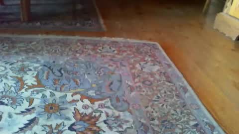 Snapshot of zevioo77 chatting on March 31, 2026, 1:00 pm zevioo77 online show from March 31, 2026, 1:00 pm