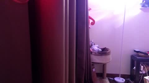 Ziggy ziggy-   online show from February 2, 2025, 2:02 pm