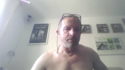 Zippi online show from July 15, 2026, 3:28 pm