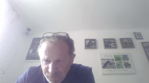 Zippi online show from July 17, 2026, 1:29 pm