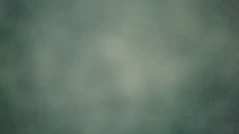 zobilov online show from December 20, 2024, 6:50 am