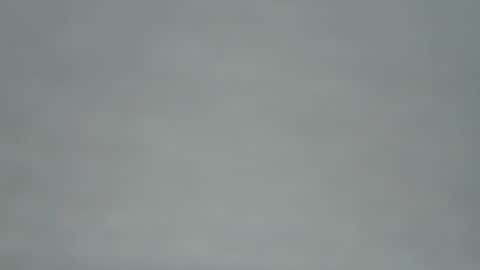 zobilov online show from May 31, 2026, 6:09 pm