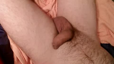 Snapshot of zobzob67 chatting on February 2, 2025, 2:24 pm Tom online show from February 2, 2025, 2:24 pm