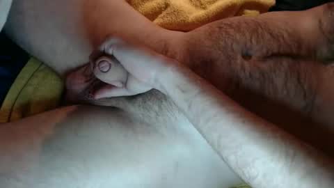 Snapshot of zobzob67 chatting on September 10, 2025, 2:39 pm Tom online show from September 10, 2025, 2:39 pm