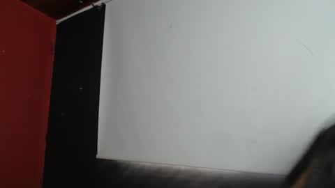 Snapshot of zoegp chatting on January 16, 2025, 2:30 pm Laura  online show from January 16, 2025, 2:30 pm