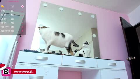 Snapshot of zoey_cooper chatting on December 30, 2024, 8:15 pm zoey  Independent model online show from December 30, 2024, 8:15 pm