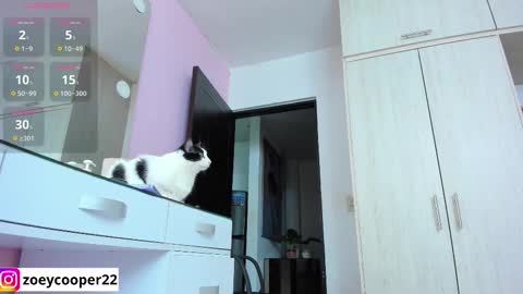 zoey  Independent model online show from November 12, 2025, 1:39 am