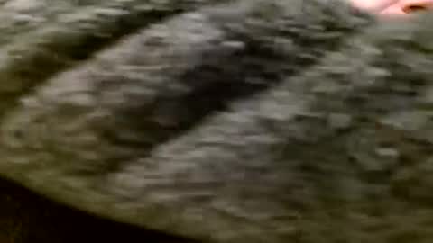 Snapshot of zolexthomas chatting on January 28, 2025, 5:35 pm zolexthomas online show from January 28, 2025, 5:35 pm