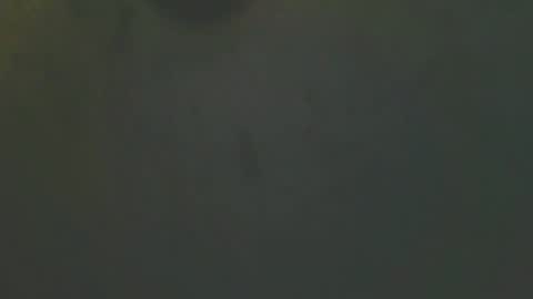 zomma44 online show from May 27, 2026, 3:03 am