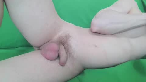 Zordy online show from April 3, 2026, 6:33 am