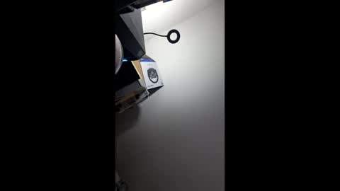 zorrodelavega online show from April 20, 2026, 9:16 pm