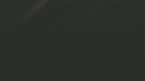 Snapshot of zx66_pyro chatting on December 30, 2024, 3:47 am zx66_pyro online show from December 30, 2024, 3:47 am