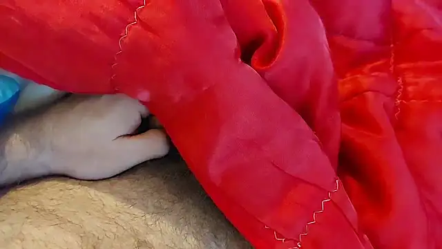 Ettarak online show from February 8, 2026, 12:14 am