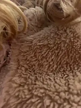 Snapshot of MessyNastyQueen chatting on December 15, 2024, 4:04 pm MessyNastyQueen online show from December 15, 2024, 4:04 pm