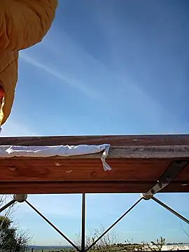 Snapshot of bellapaty chatting on March 30, 2026, 8:04 am bellapaty online show from March 30, 2026, 8:04 am