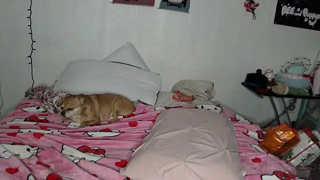 Cupcakecutie449 online show from February 28, 2026, 4:19 pm