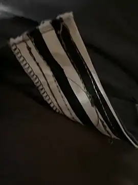 Snapshot of Yurt000 chatting on March 10, 2025, 3:56 am Yurt000 online show from March 10, 2025, 3:56 am