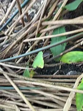 Snapshot of Yurt000 chatting on September 11, 2025, 3:17 am Yurt000 online show from September 11, 2025, 3:17 am