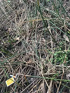 Snapshot of Yurt000 chatting on September 16, 2025, 4:57 am Yurt000 online show from September 16, 2025, 4:57 am