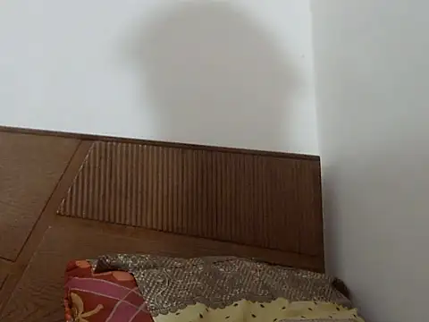 Snapshot of shekira99 chatting on September 13, 2025, 12:27 pm shekira99 online show from September 13, 2025, 12:27 pm