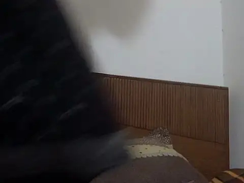 Snapshot of shekira99 chatting on March 1, 2026, 1:57 pm shekira99 online show from March 1, 2026, 1:57 pm