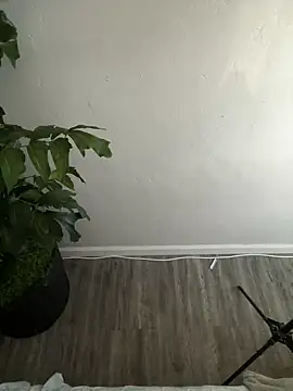 demonslayerr999 online show from February 26, 2025, 4:24 pm