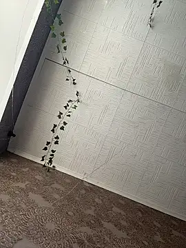 AmmyHot online show from February 23, 2026, 5:05 am