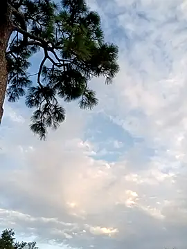 Snapshot of Hotbodyscottie chatting on October 5, 2025, 11:41 am Hotbodyscottie online show from October 5, 2025, 11:41 am