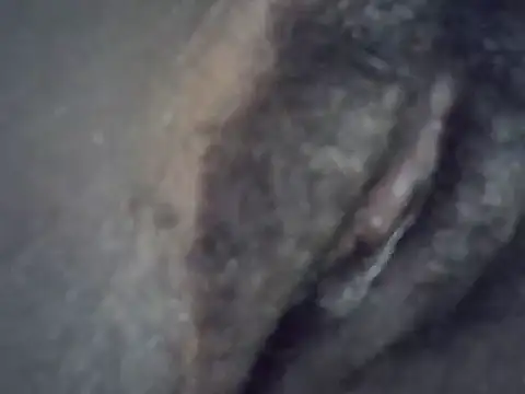 Snapshot of Sonnia_ chatting on June 9, 2026, 8:53 pm Sonnia online show from June 9, 2026, 8:53 pm