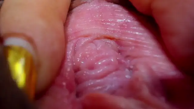 tatiana big ass boobs online show from February 26, 2025, 12:38 am