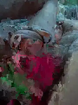 Followthepiper online show from February 27, 2026, 12:10 am