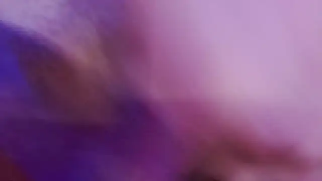 Snapshot of AnalNaugthy chatting on February 7, 2025, 6:02 pm AnalNaugthy online show from February 7, 2025, 6:02 pm