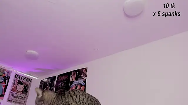 Sachi Meow online show from October 26, 2025, 12:00 pm