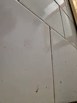 Snapshot of WhoreAnalsssxxx chatting on February 9, 2025, 9:39 pm WhoreAnalsssxxx online show from February 9, 2025, 9:39 pm