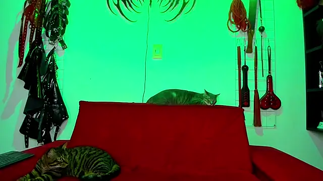 irregular fetish  online show from February 26, 2026, 7:46 pm