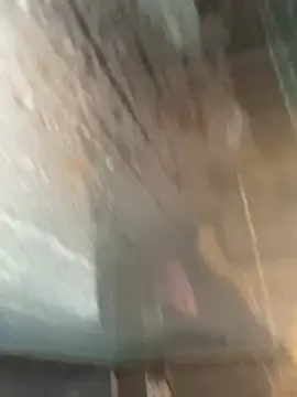 LivingLegend1978 online show from February 15, 2026, 8:46 am