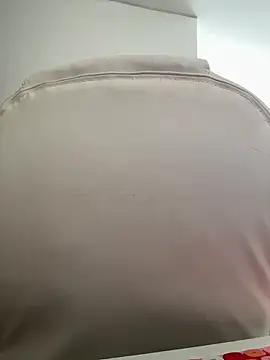 pamell col online show from November 2, 2025, 1:24 pm