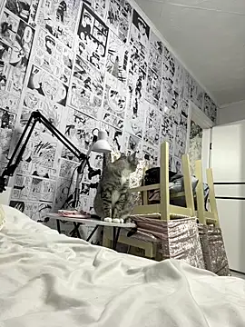 Snapshot of Minami_686 chatting on December 9, 2024, 12:40 pm Minami 686 online show from December 9, 2024, 12:40 pm