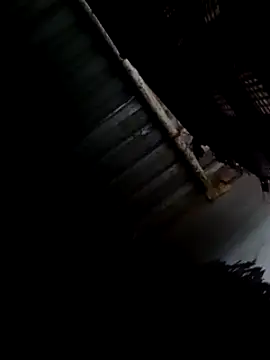 Snapshot of Moreno1813 chatting on February 9, 2025, 8:33 am Moreno1813 online show from February 9, 2025, 8:33 am