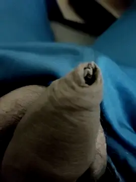 Snapshot of Ashish02345 chatting on January 28, 2025, 8:58 pm Ashish02345 online show from January 28, 2025, 8:58 pm