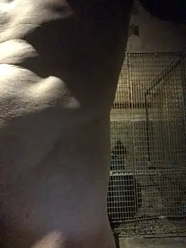 Josele1981 online show from May 1, 2026, 8:46 pm