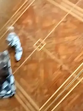 socrathes online show from February 26, 2026, 12:26 pm