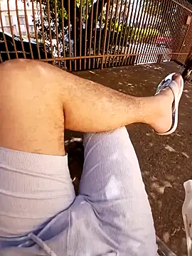 braza66 online show from April 5, 2026, 2:47 pm