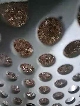 Snapshot of SexyErola27 chatting on December 6, 2024, 11:11 am SexyErola27 online show from December 6, 2024, 11:11 am