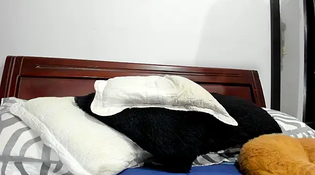 Snapshot of aleziiacam chatting on February 14, 2025, 3:11 am aleziiacam online show from February 14, 2025, 3:11 am