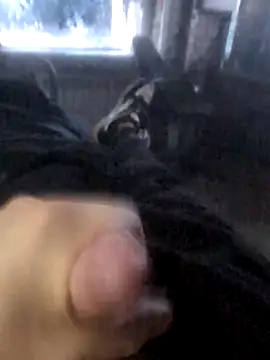 Boysex227 online show from March 19, 2026, 4:27 am