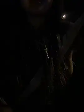 Snapshot of -mirai- chatting on February 28, 2025, 3:04 pm -mirai- online show from February 28, 2025, 3:04 pm